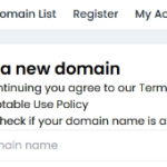 US.KG免费二级域名 可托管Cloudflare