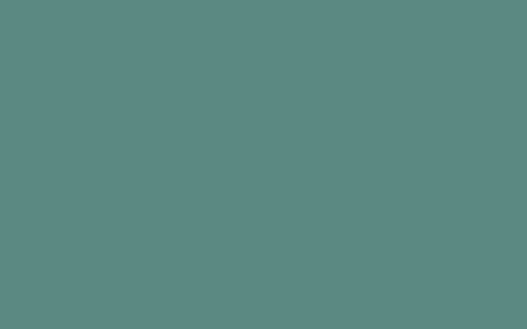 Simple Allow Copy – 浏览器插件 允许复制网页的任何内容
